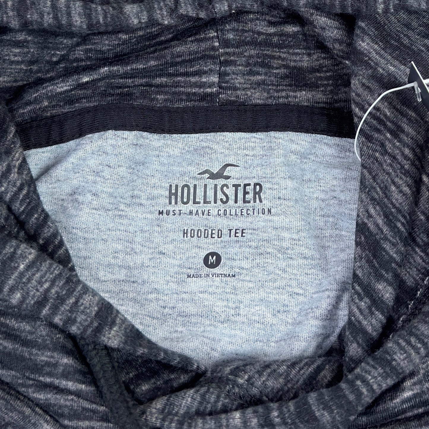 Hanorac Hollister