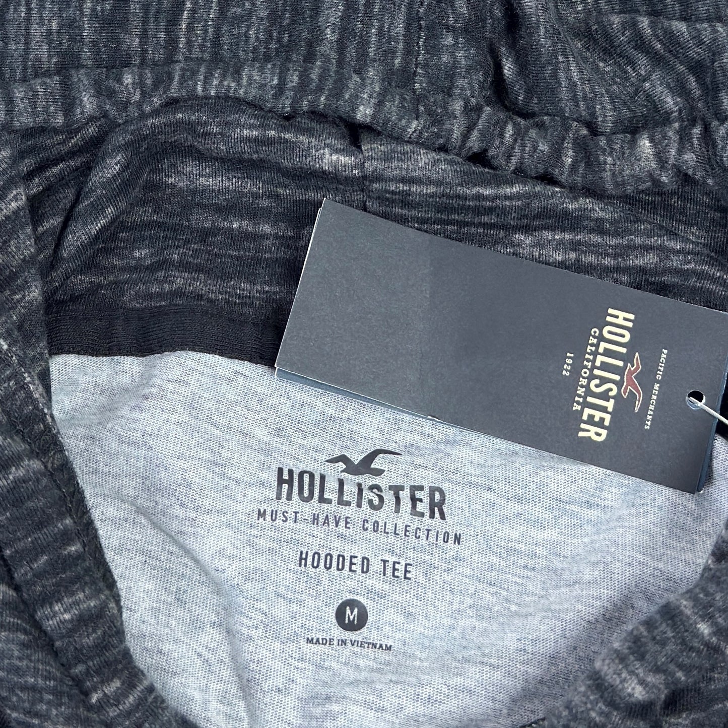 Hanorac Hollister - M